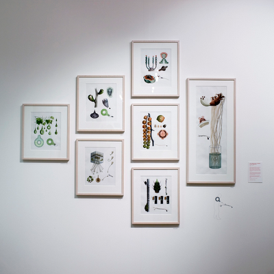 Futur Variable en El Bòlit Futur Variable en El Bòlit