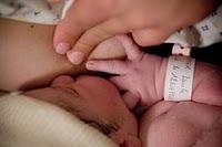 Madres lactantes defienden de distinta manera a sus bebés y a si mismas