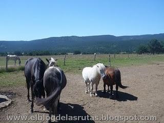Lac de Matemale (Francia)