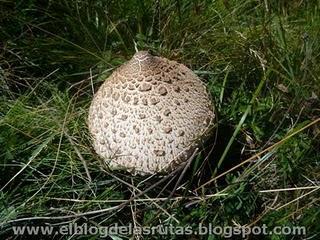 Lac de Matemale (Francia)