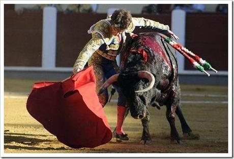 Jose_Tomas Jose_Tomas