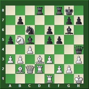 Los grandes luchadores de la historia