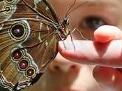 niños. ¿Nuestros maestros?