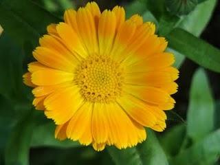 Más palabras de sabiduría