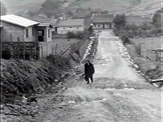 UNOS POCOS CARACOLES