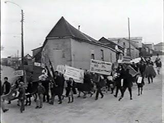 UNOS POCOS CARACOLES