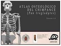 Atlas digital de osteología del chimpancé.