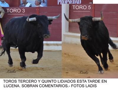 FERIA DE NTRA. SRA. DEL VALLE EN LUCENA