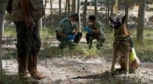 Patrullas de perros cazadores de veneno