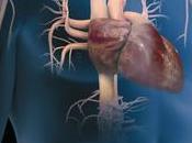 Hipertension pulmonar medicos familia. atencion primaria factor diferencial supervivencia calidad vida