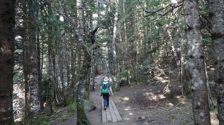 GR-11, por el bosque