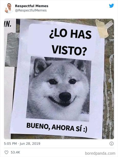 Esta cuenta de Twitter recoge sólo los memes más respetables, aquí están 20 de los mejores