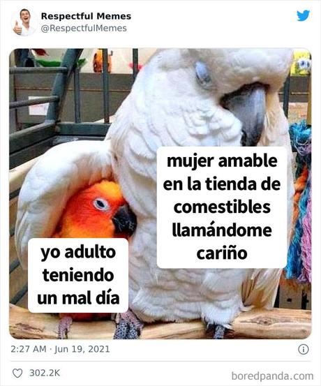 Esta cuenta de Twitter recoge sólo los memes más respetables, aquí están 20 de los mejores