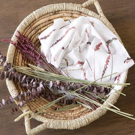 - Novedades Septiembre. 2021.