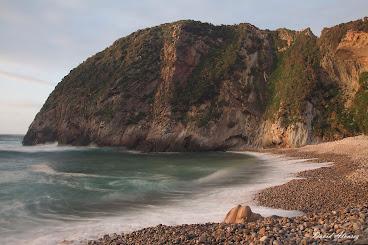 ¿Cómo convertir la playa de tu infancia en una fosa séptica? ¿Cómo convertir la playa de tu infancia en una fosa séptica?