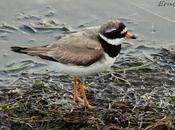 Agradecido tanta belleza