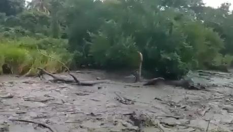 Al menos dos niños muertos y varios desaparecidos en Mérida tras fuertes lluvias