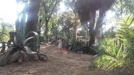 CUARTA SEMANA DE JULIO TURÍSTICO