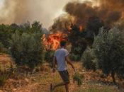 Italia: país declara estado emergencia cuatro regiones incendios