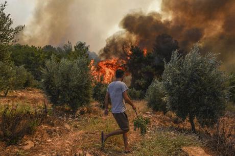 Italia: El país declara estado de emergencia en cuatro regiones por incendios