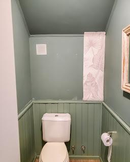 BañoVerde y Botánico - Proceso de renovación