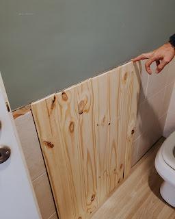 BañoVerde y Botánico - Proceso de renovación