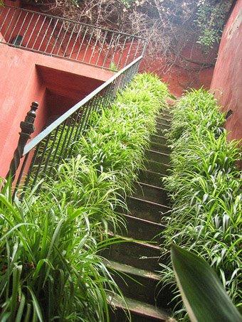 EL PATIO RUSTICO / THE RUSTIC COURTYARD