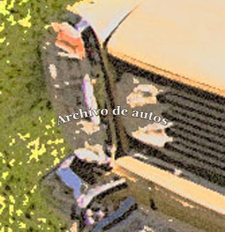 Domingo 29 de agosto