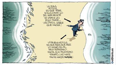 Tropas, cancillerías y colaboradores abandonan de estampida el Afganistán de los talibanes.