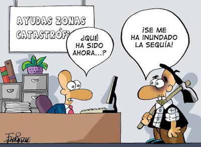 Tropas, cancillerías y colaboradores abandonan de estampida el Afganistán de los talibanes.