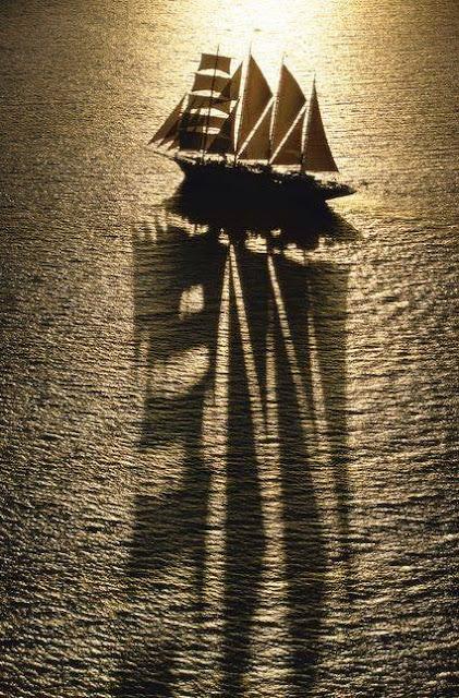 Tropas, cancillerías y colaboradores abandonan de estampida el Afganistán de los talibanes.