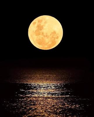 Tropas, cancillerías y colaboradores abandonan de estampida el Afganistán de los talibanes.