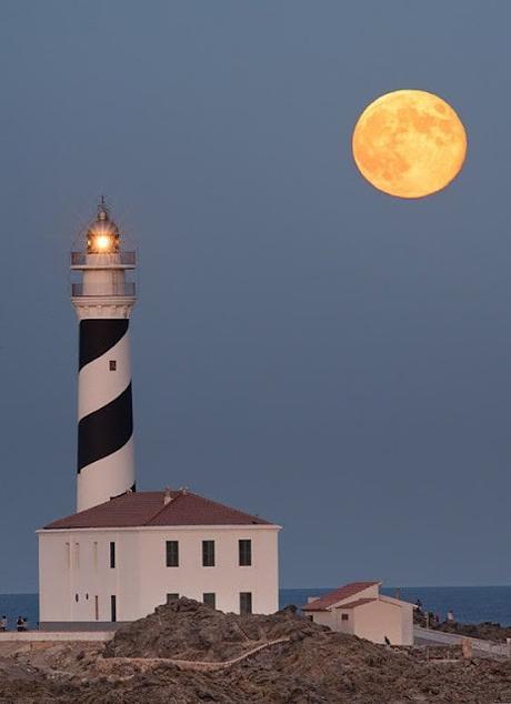 Tropas, cancillerías y colaboradores abandonan de estampida el Afganistán de los talibanes.