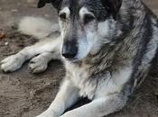 Personas describen momento agridulce vivido