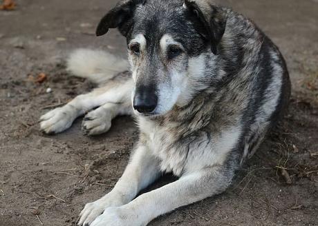 20 Personas describen el momento más agridulce que han vivido
