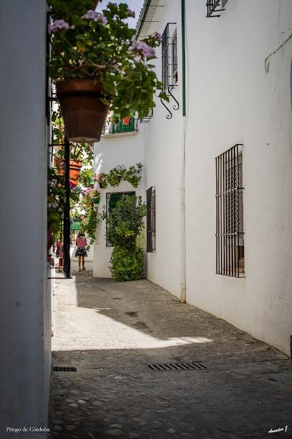 PRIEGO DE CÓRDOBA