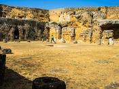 Carmona