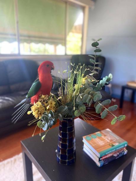 Esta comunidad online celebra la tierra del NO, y estas son 40 de sus mejores fotos