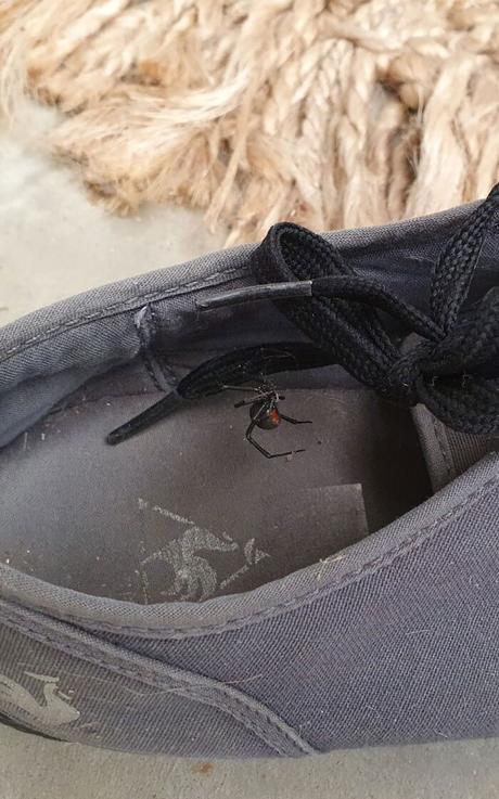 Esta comunidad online celebra la tierra del NO, y estas son 40 de sus mejores fotos