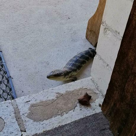 Esta comunidad online celebra la tierra del NO, y estas son 40 de sus mejores fotos