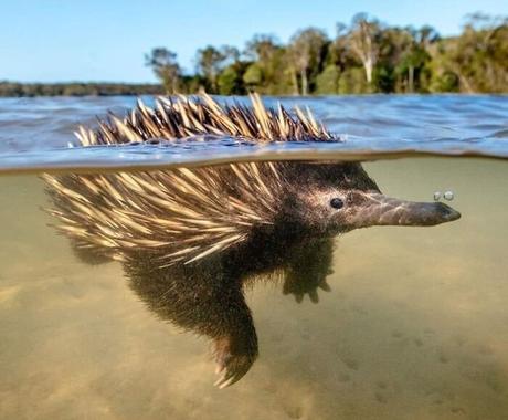 Esta comunidad online celebra la tierra del NO, y estas son 40 de sus mejores fotos