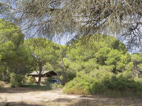 Jabalina Country Tents: Glamping en la Dehesa de las Yeguas de Cádiz_2