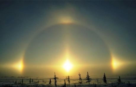 El Reino y el Pescado