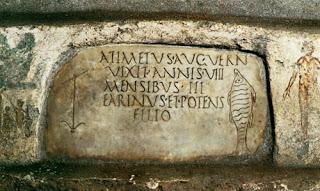 El Reino y el Pescado