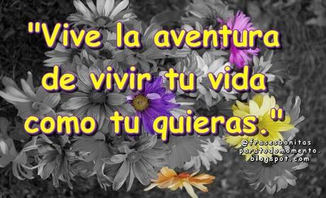 Vive la aventura de vivir tu vida como tu quieras.