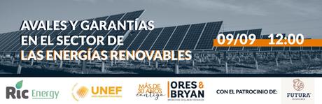 Avales y Garantías en el Sector de las Energías Renovables Avales y Garantías en el Sector de las Energías Renovables
