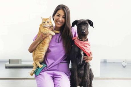 La misión de Tecni Estudio