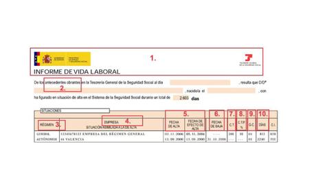 Informe de vida laboral, esto es lo que se debe tener en cuenta
