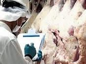 cadena carne perdió ingresos 1.084 cepo exportación