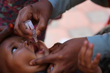 Polio: otro virus, otras vacunas